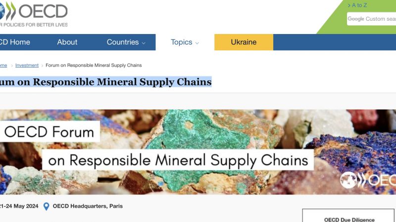 OECD Forum on Responsible Mineral Supply Chains: Navigating the Complexities